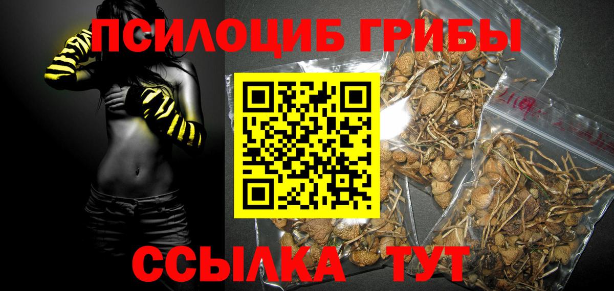 Старая Купавна  Галлюциногенные грибы Magic Shrooms  Вход с VPN 